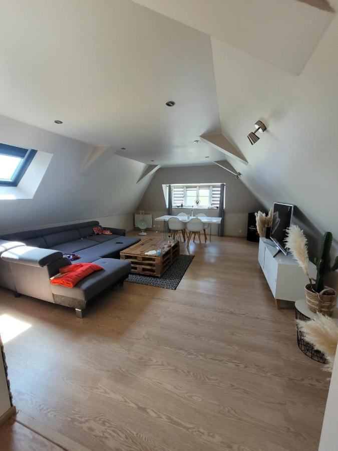 Loft Spacieux Et Lumineux Oloron-Sainte-Marie Zewnętrze zdjęcie